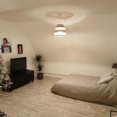 Gite Du Logelbach Wintzenheim Bagian luar foto