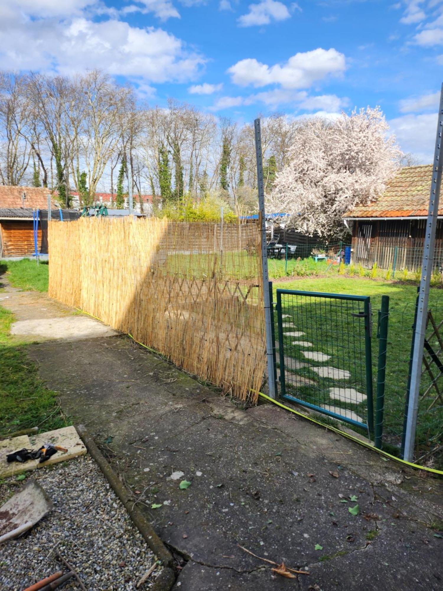 Gite Du Logelbach Wintzenheim Bagian luar foto